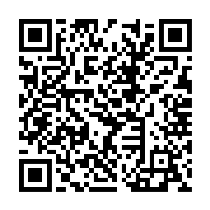 在这样多的人如此尽情地展示着他们才能的盛宴中二维码生成