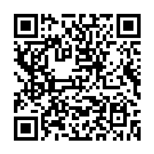 在这样无休无止的魔族骑士三位一体的车轮战之中二维码生成