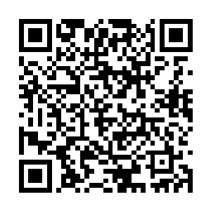 在这样的季节周六日还要上山采药拿到集市上去卖二维码生成