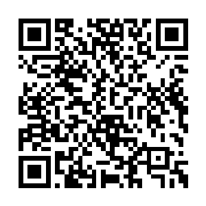 在这样的速度面前海鱼根本没有任何躲避的机会二维码生成