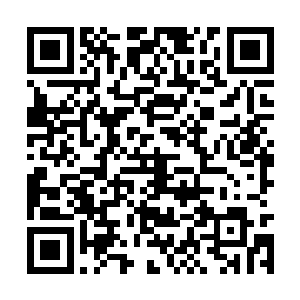 在这水中使用木属性灵气來施法远比平时的效果好二维码生成