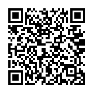 在这混乱之地短期内也是能发展起这样一个强大的势力二维码生成