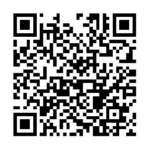 在这炼狱魔主的全力一击下被贯穿出了一个巨大的血洞二维码生成