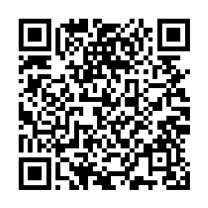 在这片大陆上早已销声匿迹的远古地精怎么会突然冒出来的二维码生成