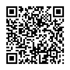 在这玩的话说不定一会那个门迎女就找人来报仇了二维码生成