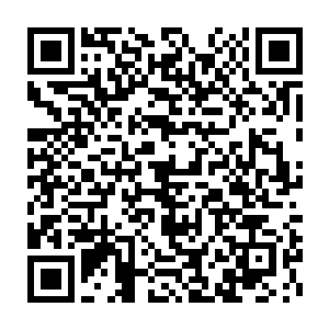 在这种下位神级别的高手的气势面前他们根本就提不起一点的反抗之力二维码生成