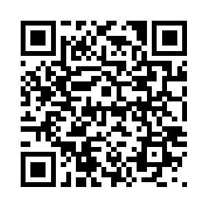 在这种公众场合一只乌龟要是说话了二维码生成