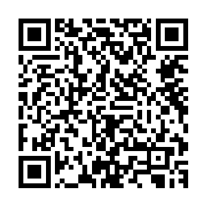 在这种情况下许紫烟杀死了螭龙并不能证明许紫烟的实力高强二维码生成