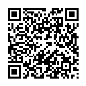 在这种情况之下有谁能够将苏凡给打伤甚至导致下落不明二维码生成