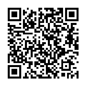 在这种精神高度集中的情形之下吞服丹药补充消耗二维码生成