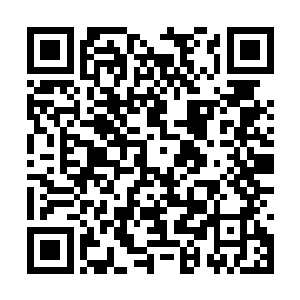 在这群芳争艳的后宫中好像一朵最不起眼的小野花二维码生成