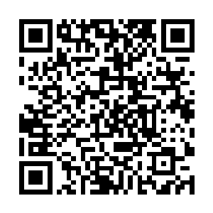 在这苍茫界就算是一个界岛的岛主也不一定能够拥有二维码生成