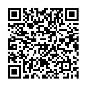 在这里以贵宾的欢迎仪式迎接霍君白一行人去杜家做客二维码生成