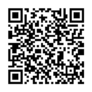 在这里修炼一天效果至少要比外面好上数十上百倍二维码生成