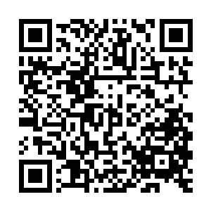 在这里动你不得……可若是要杀你保的那只小僵尸却是轻而易举二维码生成