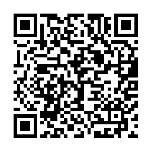 在这里声明一下以后的章节不会再详细描述其他比赛的情况二维码生成
