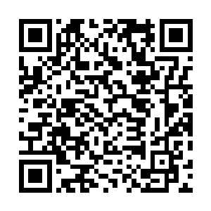 在这里居然遇到了荆棘花团的人……只怕未必是什么好事二维码生成