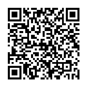 在这里我们的神识根本就无法散发出去主人快下去看看二维码生成