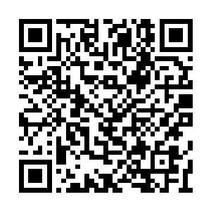 在这里我们要特别的表扬一号男配角老鼠同学了二维码生成