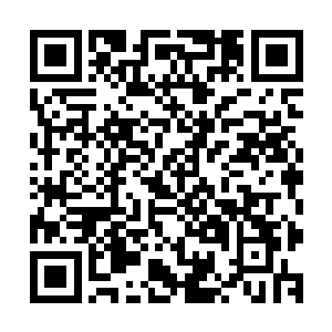 在这里没有那个修士会在介绍自己的时候说自己来自哪个宗门二维码生成