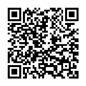 在这里面就有着从许紫烟仙舟之内提前离开的那两个地尊后期二维码生成