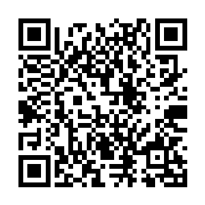 在这飞行法宝上的数十人来说都是如同透明的一般二维码生成