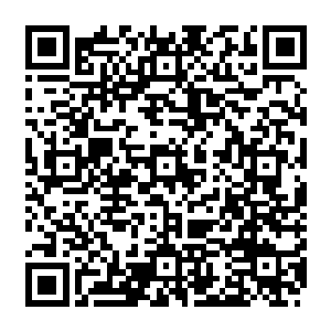 在远处围观的长阳府族人一个个神色惊慌失措的盯着大战不止的长阳青云和长阳祖啸二维码生成