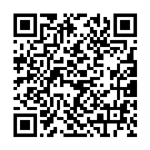 在远离这里二人还能御剑腾空的时候让噬金蚁进化二维码生成