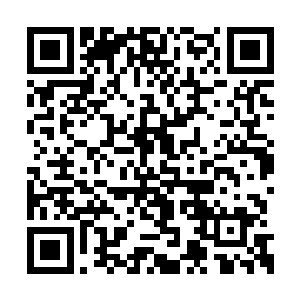 在连续目睹辛亥革命和国民革命的软弱无效之后二维码生成