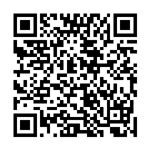 在送葬者的后面和两边聚起了一个纯粹由行人组成的队伍二维码生成
