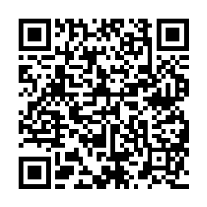 在逃回了水火谷灵地内的灵池古潭人族修士的驻军营地后二维码生成