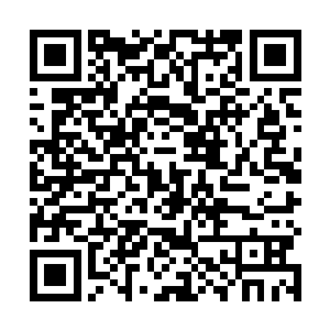 在选了一个豹女以后前期也依然要被陈诚压刀和压血线二维码生成