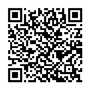 在通道附近的位置横七竖八地躺着二十一具亡灵二维码生成