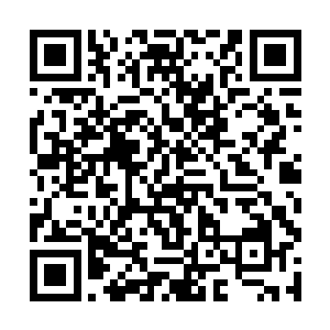 在通道附近的颜洛儿等三人正在安静潜伏在地底深处二维码生成