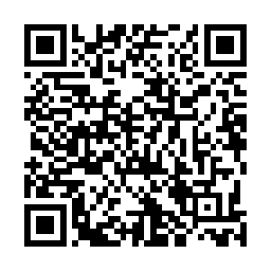 在遇到唐劫本体的第一时间就施展出自身最强的防御手段二维码生成