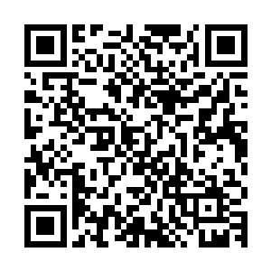 在那一张又一张大红大紫的专辑和一个又一个的数据和纪录之外二维码生成