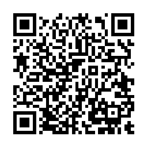 在那个任务世界的剧情在疯狂变迁的时候就撤离了二维码生成