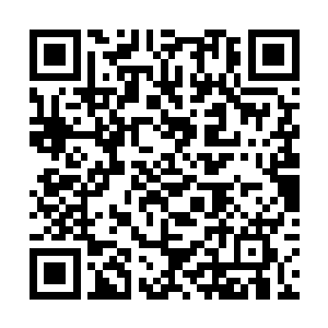 在那个地尊修士距离雷霆剑灵还有三百米左右的时候二维码生成