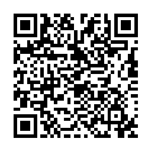 在那个家伙极不负责任的来我们家里打了一趟酱油又走了之后二维码生成