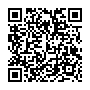 在那个芥子空间内同样是两个人尊期大修士对垒二维码生成