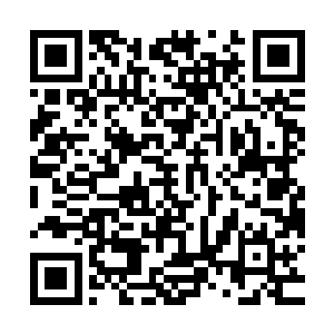 在那么多圣兽神兽的攻击下恐怕只有你这种变态才能够活下来吧二维码生成