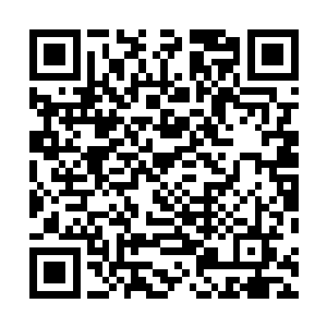 在那些声浪击中周御龙之前便直接轰击在了那些声浪之上二维码生成