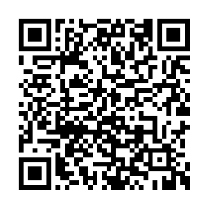 在那些足以让在场每一个人都仰视的大人物面前二维码生成