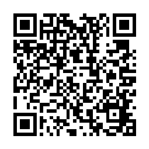 在那光幕之上便现出了补天大陆上那座仙城的战场二维码生成