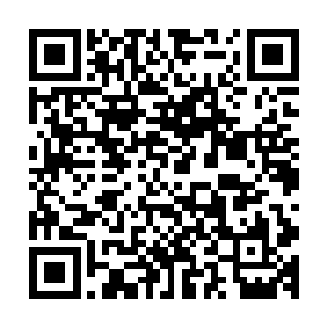 在那原本被保护罩笼成半球形的白色浓稠灵气猛然崩散的时候二维码生成