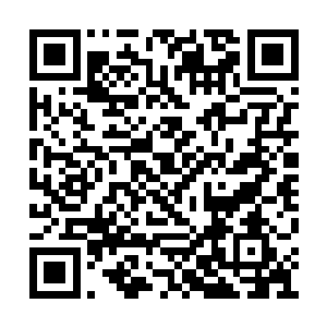 在那里蛮荒古界的界主开辟了一个独立的小空间二维码生成