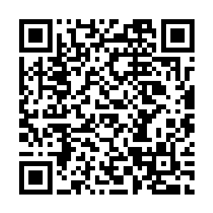 在那30个出入通道外都有着五大家族的护卫严密看守二维码生成