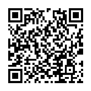 在郁桐的身后响起了柳清浅一声震惊无比的呼喊声二维码生成