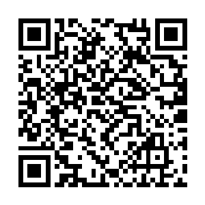 在郁波尚未到蠡泽新区任职时就和自己提起过多次二维码生成
