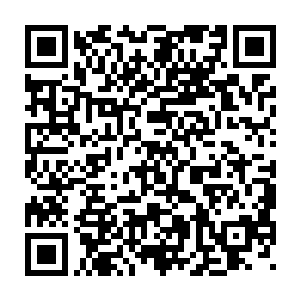 在里面仔细的搜索了起来……杀手交易平台的单子其实一点也不少二维码生成